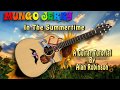 In The Summertime - Mungo Jerry - Acoustic Guitar Lesson (easy-ish)