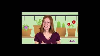 STEM Lesson Plan