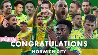 Congratulations Norwich City - Back in the Premier League