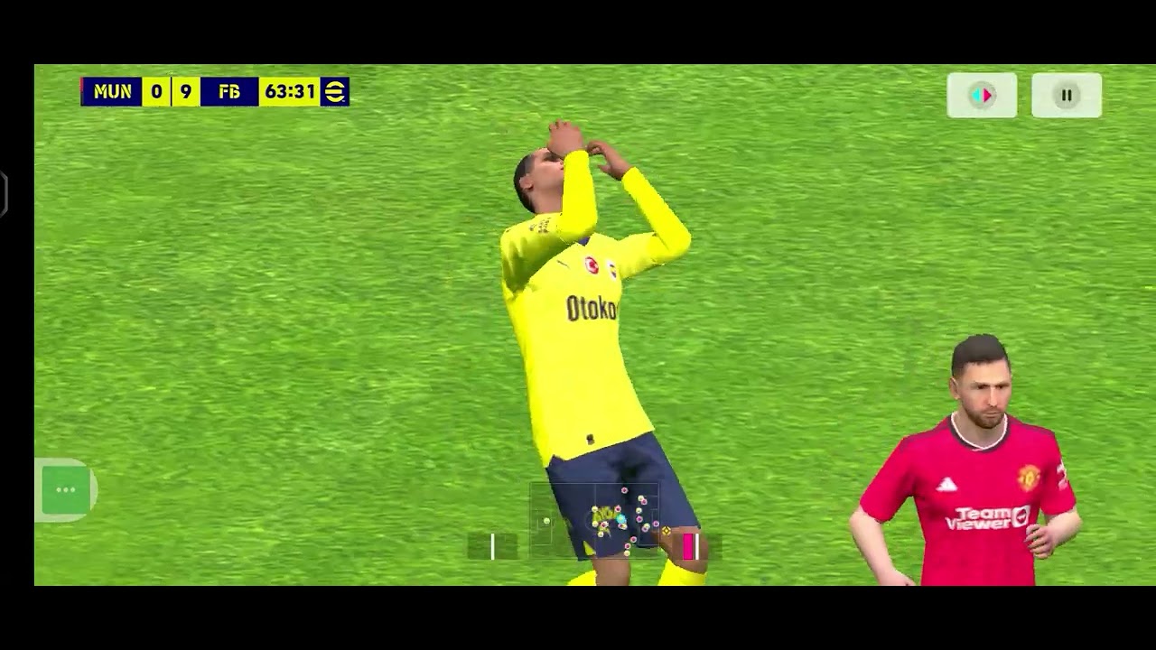 T M VIDEOLAR I ZLE visual data 3