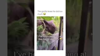 Does bro even work there😭✌️ #funny #shorts #meme #memes