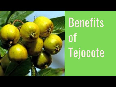 Benefits of Tejocote