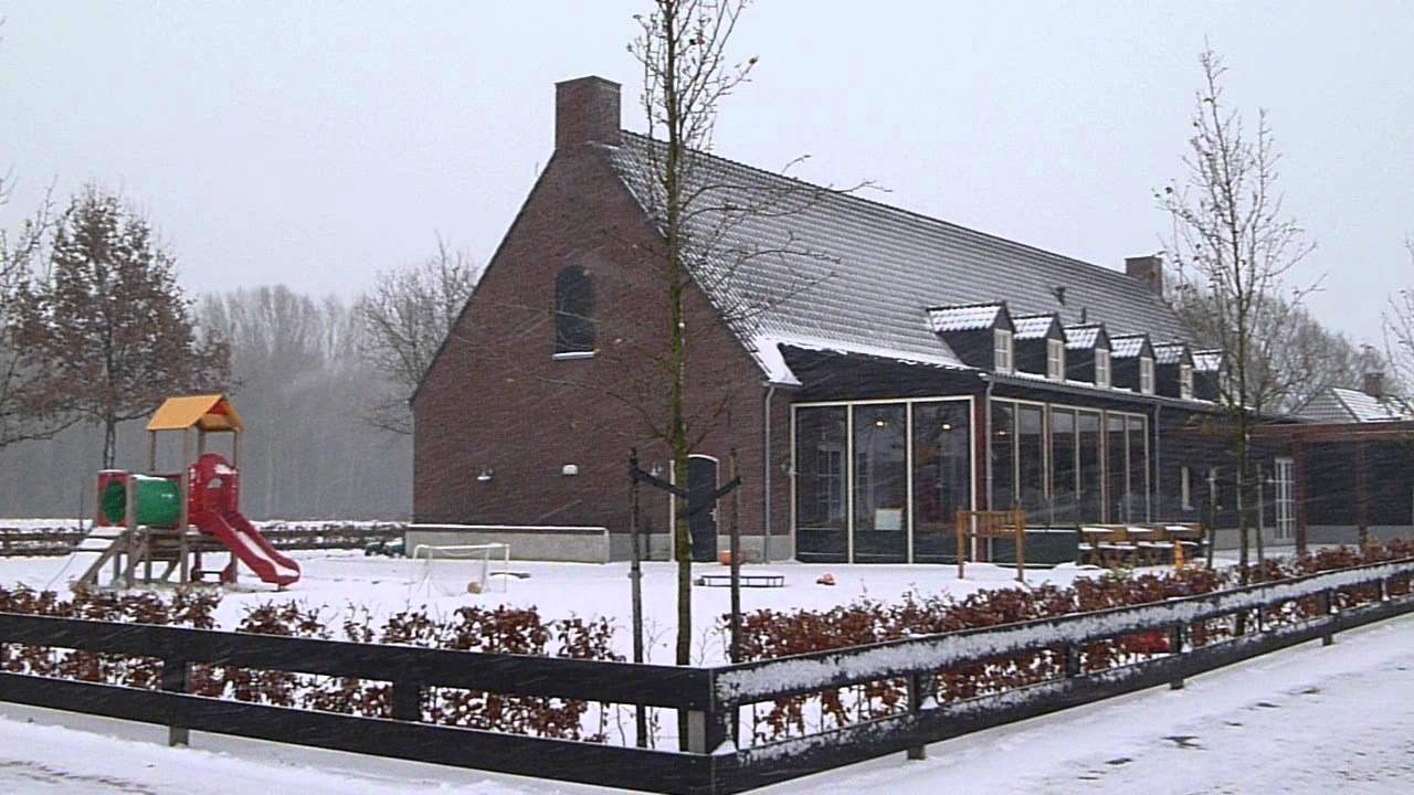 Sneeuw, december 2010
