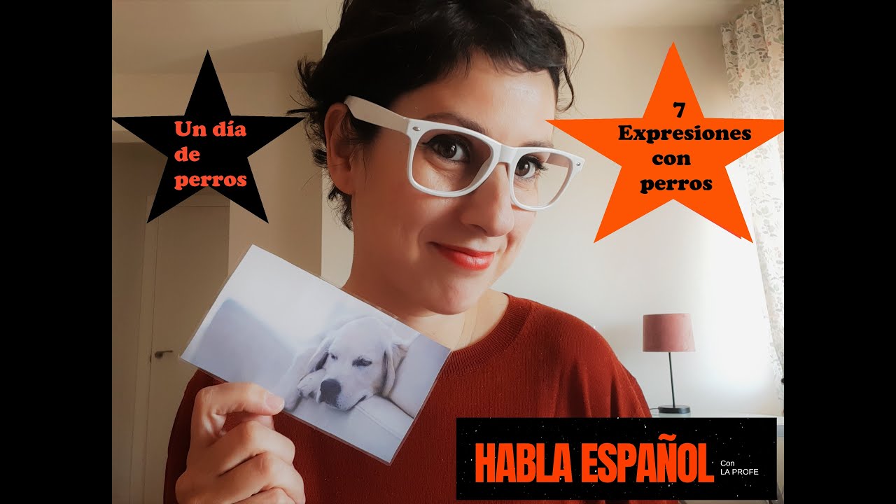 7 Expresiones con PERROS 🐕‍🦺 en español. SPANISH IDIOMS with dog🐕‍🦺