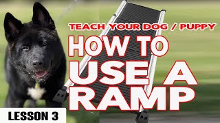 Teach Your Puppy Dog How to Use a Ramp