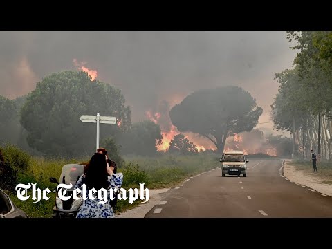 France wildfires: Thousands evacuated as blaze erupts In Saint-André, Pyrénées-Orientales