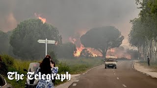 France wildfires: Thousands evacuated as blaze erupts In Saint-André, Pyrénées-Orientales