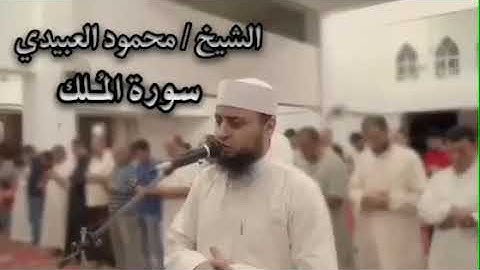 سورة الملك بصوت الشيخ محمود العبيدي
