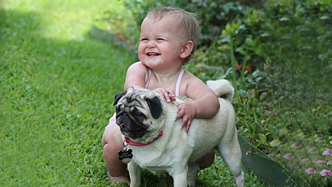 Petit Calin Et Calins De Bebe Bebe Embrasse Son Meilleur Ami Carlin Youtube Petit Calin Et Calins De Bebe Bebe Embrasse Son Meilleur Ami Carlin Youtube
