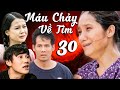 Phim vit nam mi nht 2023  mu chy v tim tp 30  phim vit nam gia nh tm l 2023