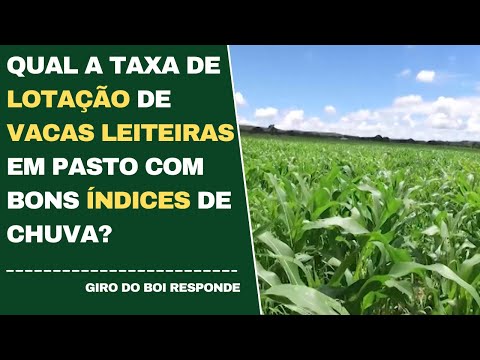 Leitor de vídeo do YouTube