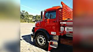 Muriçocas Qualificada