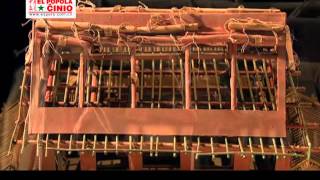 Tridimensiaj modeloj de la Imperiestra Palaco en Pekino antaŭ ducent jaroj