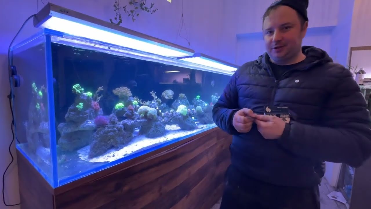 Uważaj na Rysy w akwarium