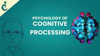 Psychology of Cognitive Processing: Exploring How the Brain Works