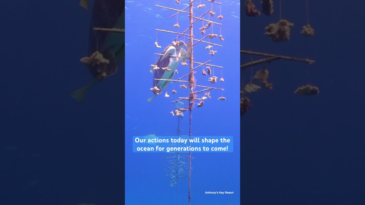 🌎🌊Happy World Oceans Day! 