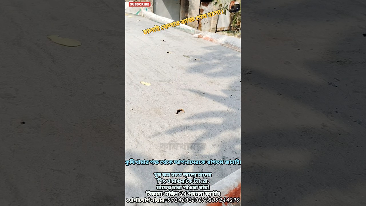 কেমন ঢালাই এর কাজটা করলাম দেখুন🙂