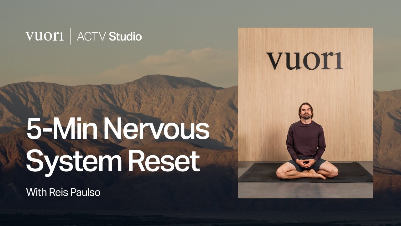 Meditation | 5 Min Nervous System Reset - YouTube
