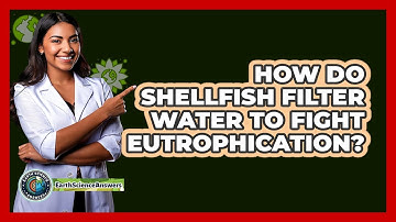 How Do Shellfish Filter Water To Fight Eutrophication? - Earth Science Answers