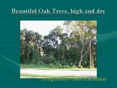 JUST REDUCED - Estate Acreage Ready to Build, Deland, FL