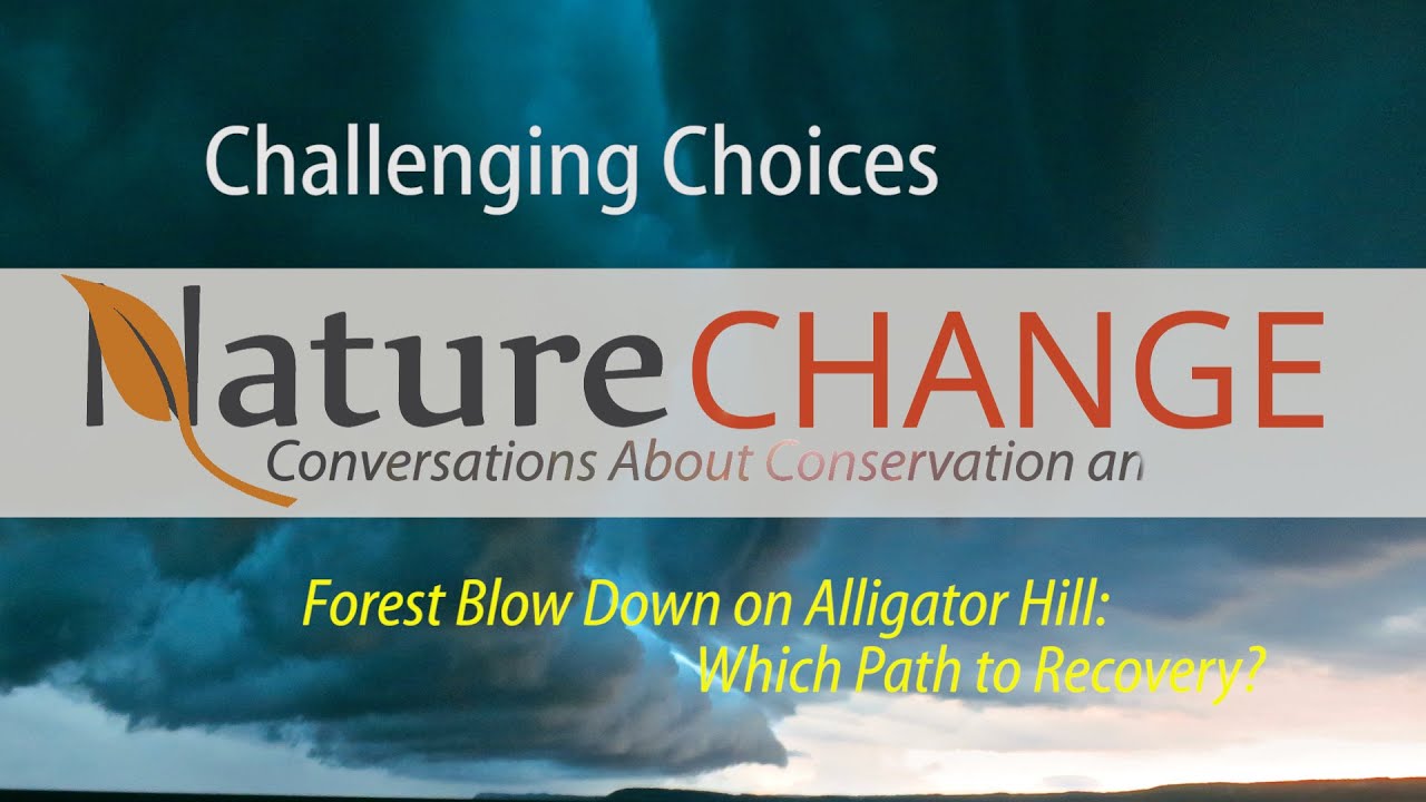 climate change projections Alligator Hill - Which Way to Recovery