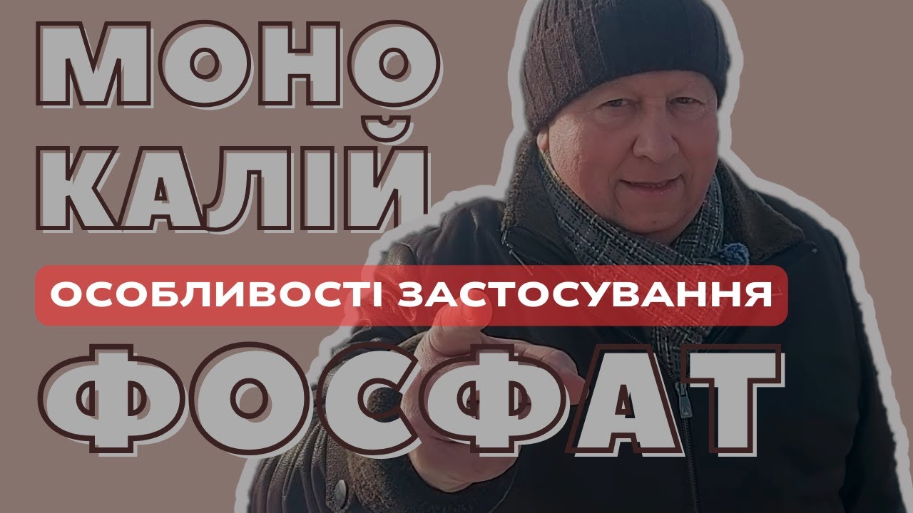ДОБРИВО - МОНОКАЛІЙ ФОСФАТ | ОСОБЛИВОСТІ ЗАСТОСУВАННЯ...