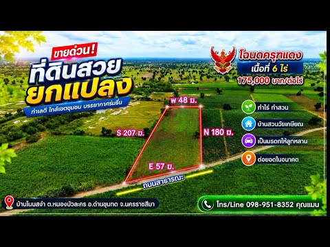 Land for sale, Korat no. 673, urgent sale, beautiful plot, Dan Khun Thot district, fertile soil, ...