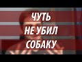 ВЕТЕРИНАРЫ - УБИЙЦЫ