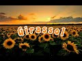 Girassol [English Version] • Priscilla Alcântara feat. Whindersson Nunes // LYRICS