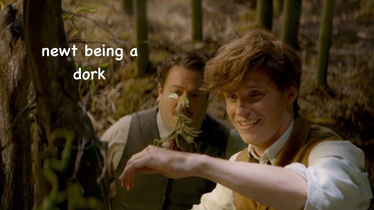 newt scamander being a dork for 3 minutes straight