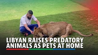 Man raises predatory animals at home as pets | ABS-CBN News