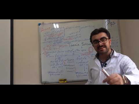 تنیا سولیوم Taenia Solium انگل شناسی سستود پزشکی علوم پایه