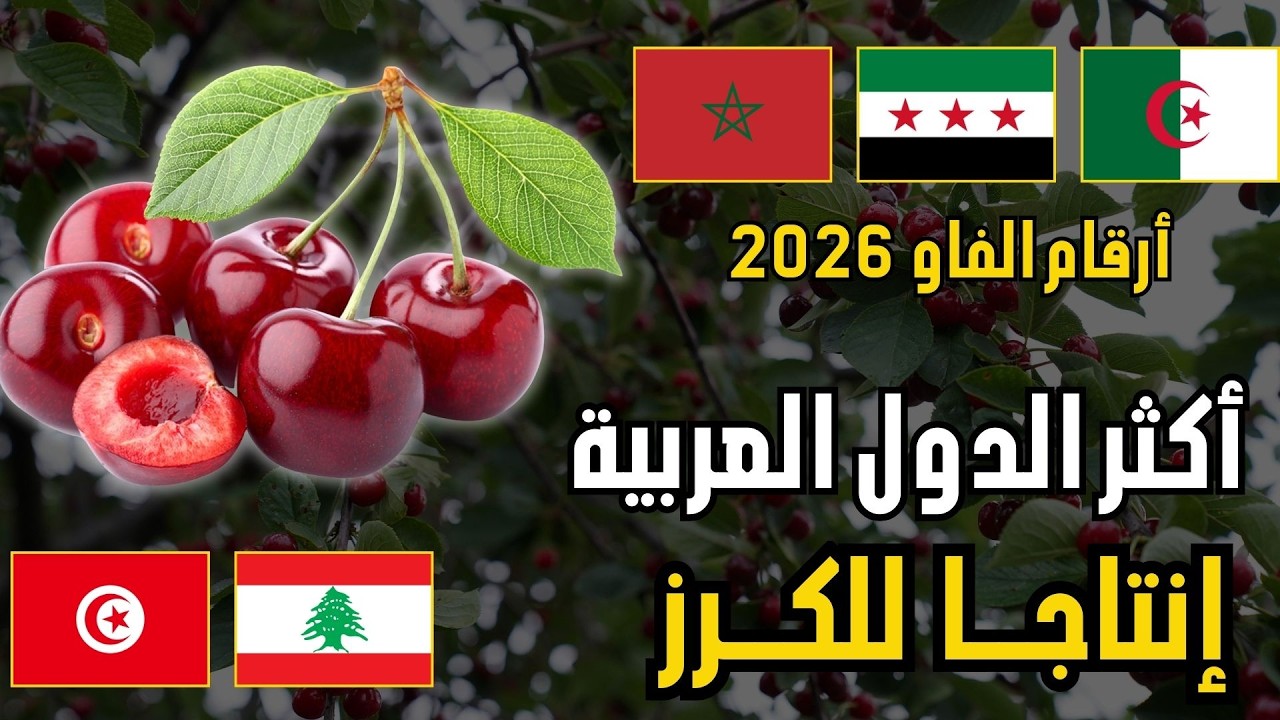 🍒 من يتصدر إنتاج الكرز عربيًا؟ | ترتيب الدول العربية حسب إنتاج الكرز (FAO 2026)