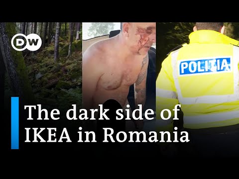 Wood Mafia country: The dark side of IKEA in Romania | DW News