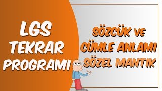 Lgs Tekrar Programı Türkçe Sözcük Ve Cümle Anlamı, Sözel Mantık