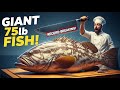 How to Cut &amp; Cook a Giant 75pound Grouper (Record-Breaking) in this vedio OMG