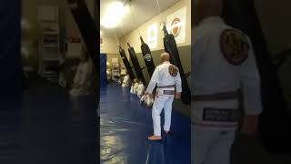 crazy monkey video