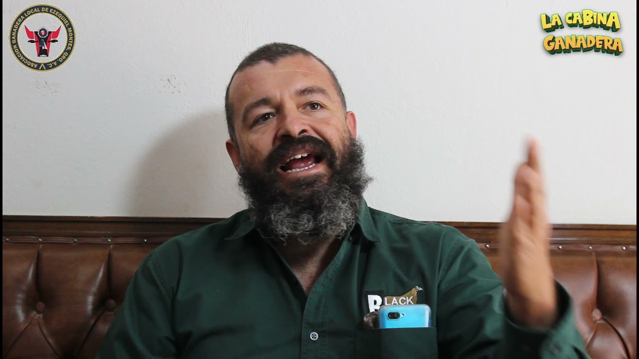 ALIMENTACION EN OVINOS