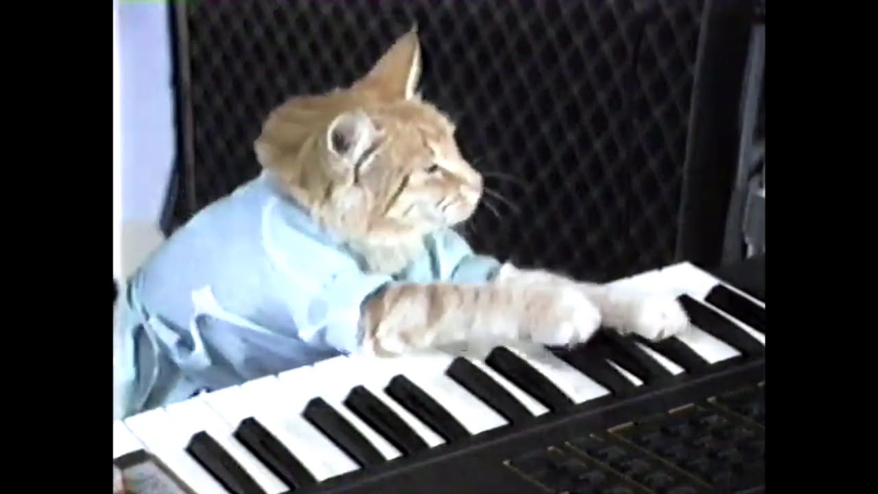 Charlie Schmidt's Keyboard Cat! (slowed + reverb)