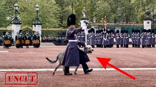 The ENTIRE Buckingham Palace ‘Changing of the Guard ceremony’ FRONT ROW (SPECIAL GUEST)