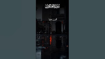 #القران_الكريم #تلاوة_خاشعة #راحة_نفسية #اكتب_شي_تؤجر_عليه #عبدالرحمن_مسعد