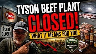 Another Beef Plant Just Closed Is It Time to Stock Up