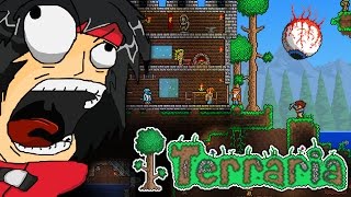 A friday in the life of Zekkyou (Terraria)