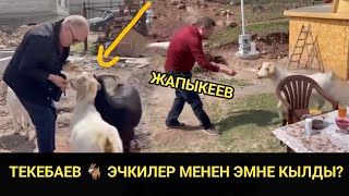 ТЕКЕБАЕВ ЭЧКИЛЕРДИ ЭМНЕ КЫЛДЫ?