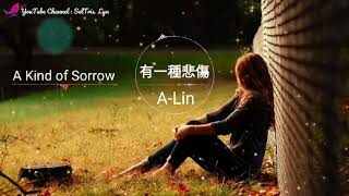 有一種悲傷 You Yi Zhong Bei Shang - A Kind of Sorrow A Lin lyric subtitle terjemahan English Bahasa