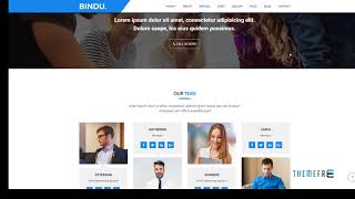 Bindu - Agency Multipurpose HTML5 Template        | Free Template  Wi