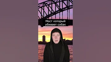 Мост который убивает Собак | Страшилки Шортс