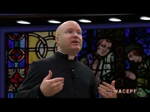 Every Catholic Overview