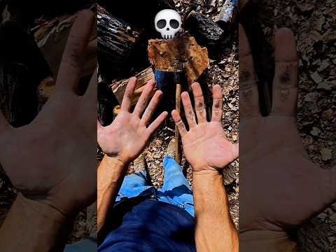 شغل فترة طويلة من دون ما البس كفوف هيك كانت النتيجة حطب مزرعة قرية