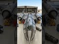 SR-71 Blackbird transformation#beforeandafter #fighterjet #aviationlovers #sr71blackbird  #aesthetic
